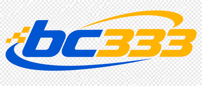 BC333